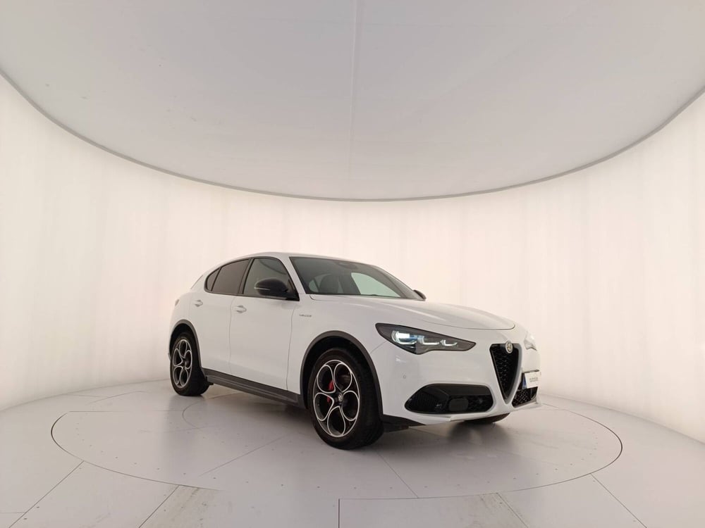 Alfa Romeo Stelvio usata a Treviso (3)