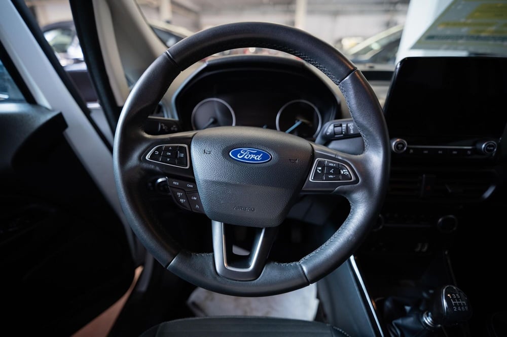 Ford EcoSport usata a Torino (10)