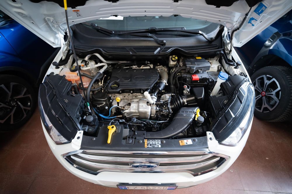 Ford EcoSport usata a Torino (12)