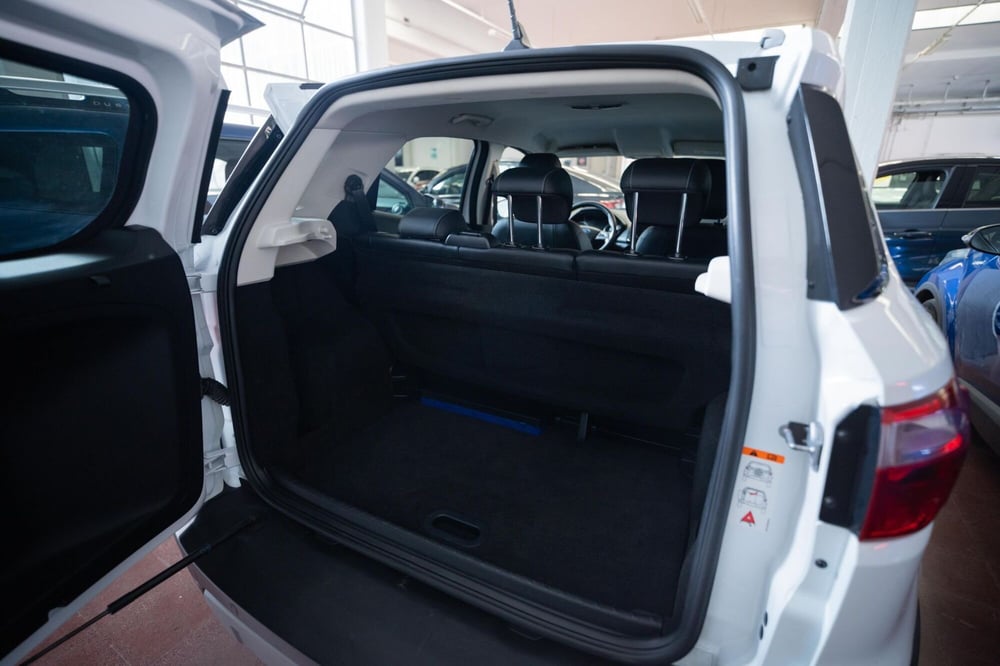 Ford EcoSport usata a Torino (13)