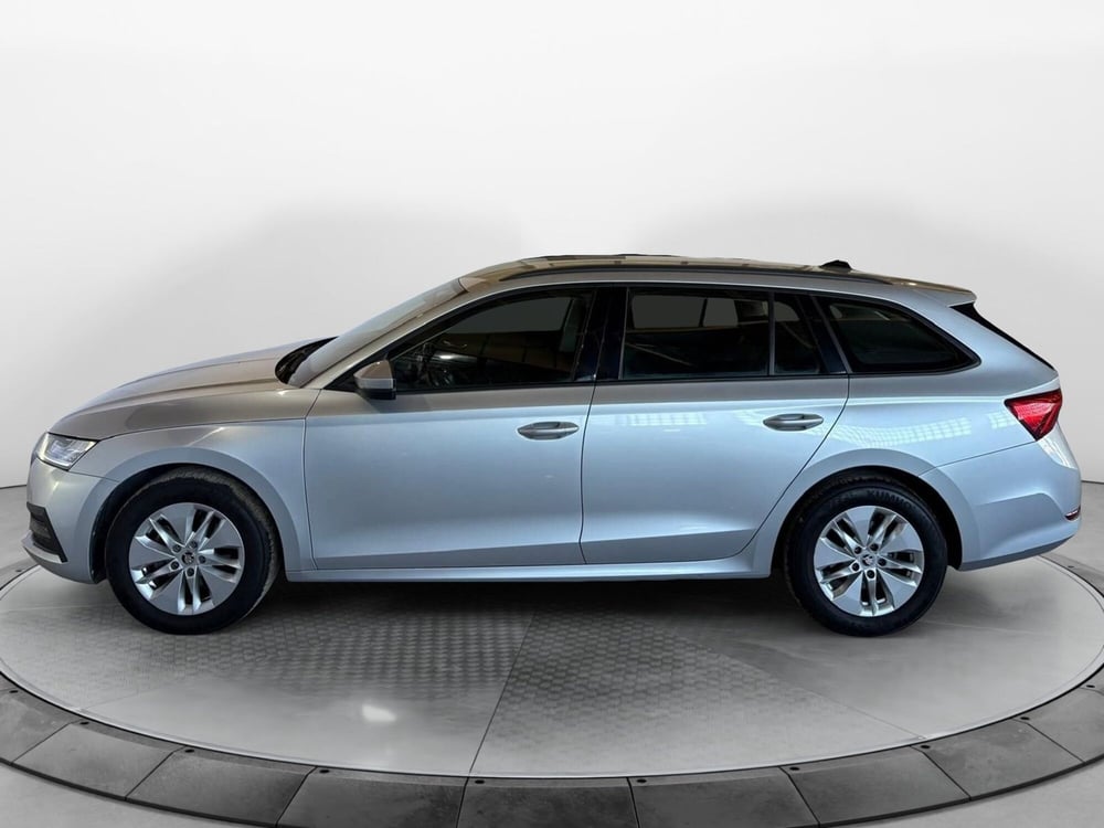 Skoda Octavia usata a Monza e Brianza (3)