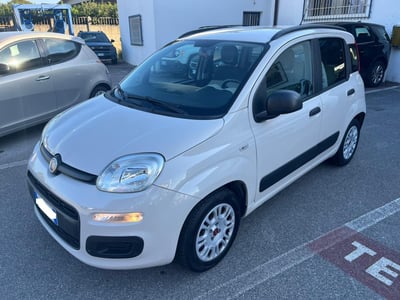 Fiat Panda 1.2 Easy del 2014 usata a Altopascio