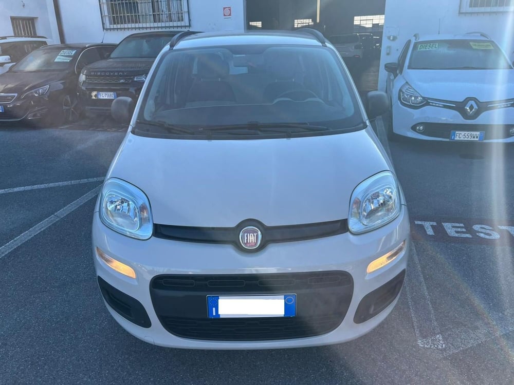 Fiat Panda usata a Lucca (2)