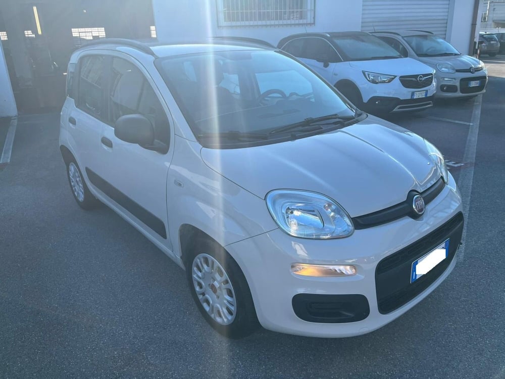 Fiat Panda usata a Lucca (3)