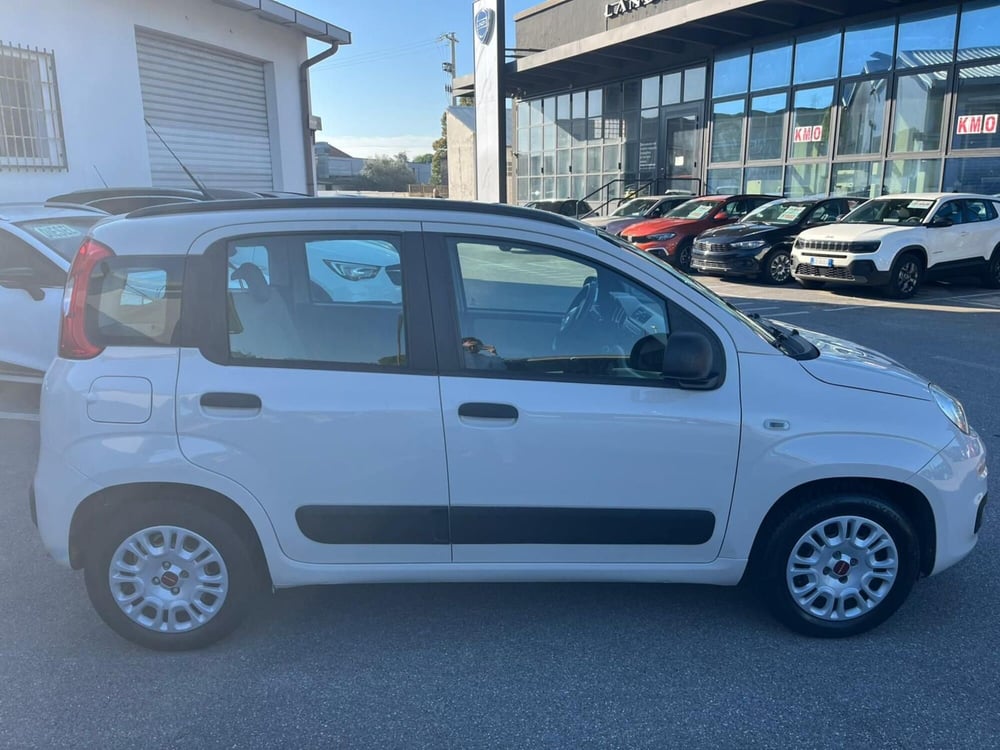 Fiat Panda usata a Lucca (4)