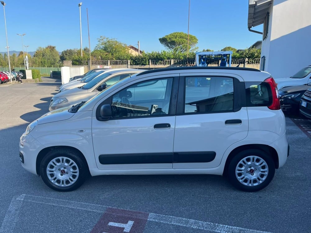Fiat Panda usata a Lucca (8)