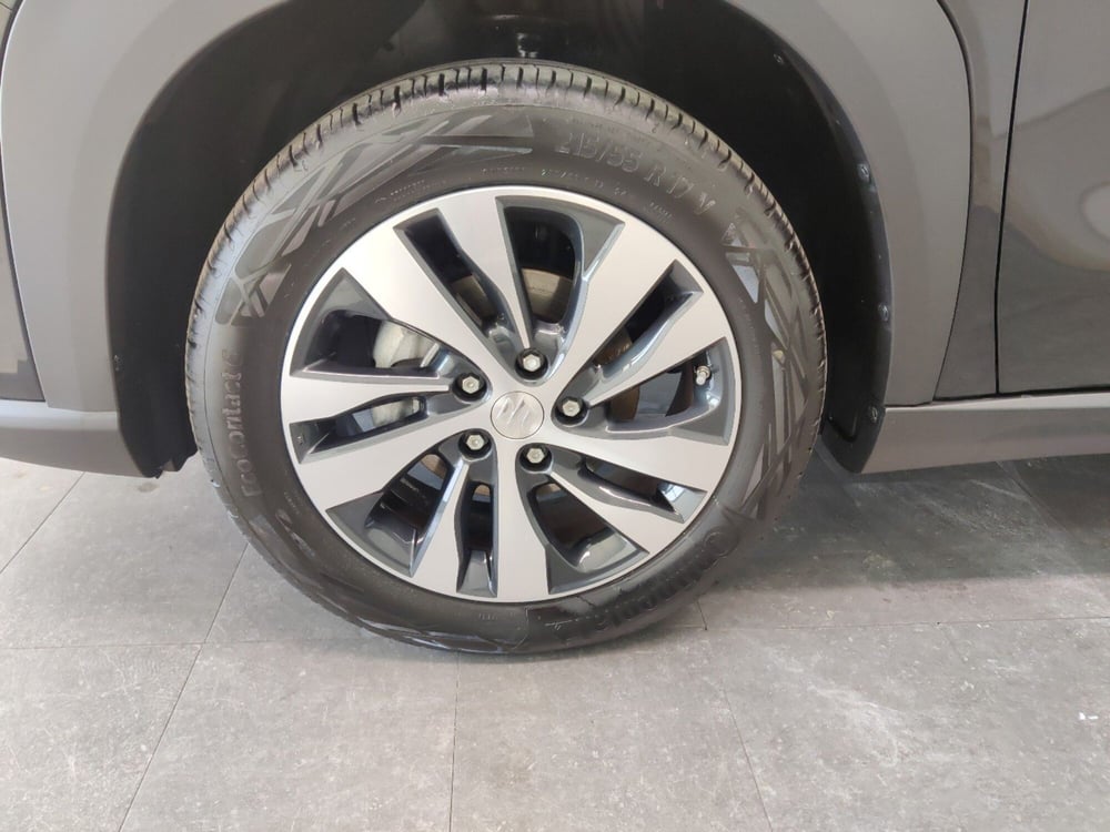 Suzuki S-Cross usata a Arezzo (9)