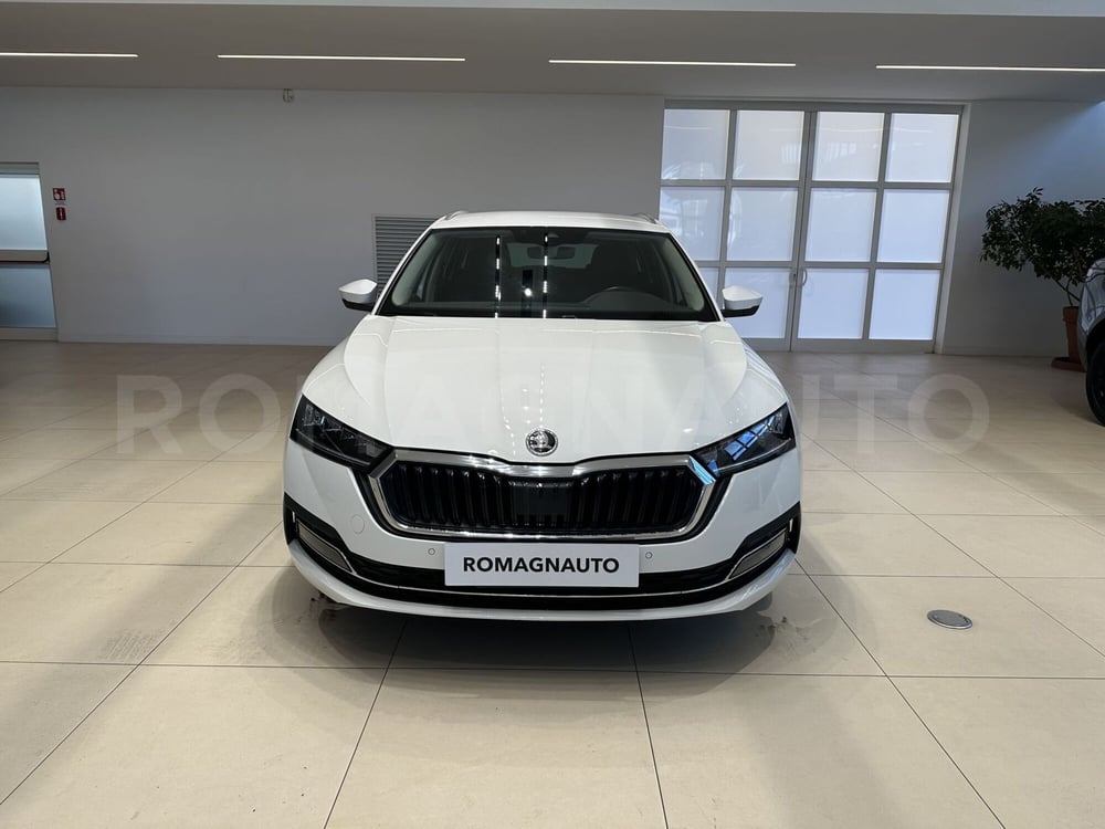 Skoda Octavia Station Wagon usata a Forlì-Cesena (2)