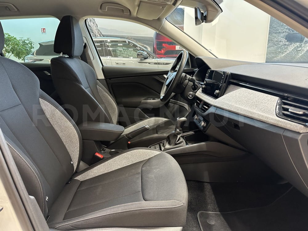 Skoda Kamiq usata a Forlì-Cesena (9)