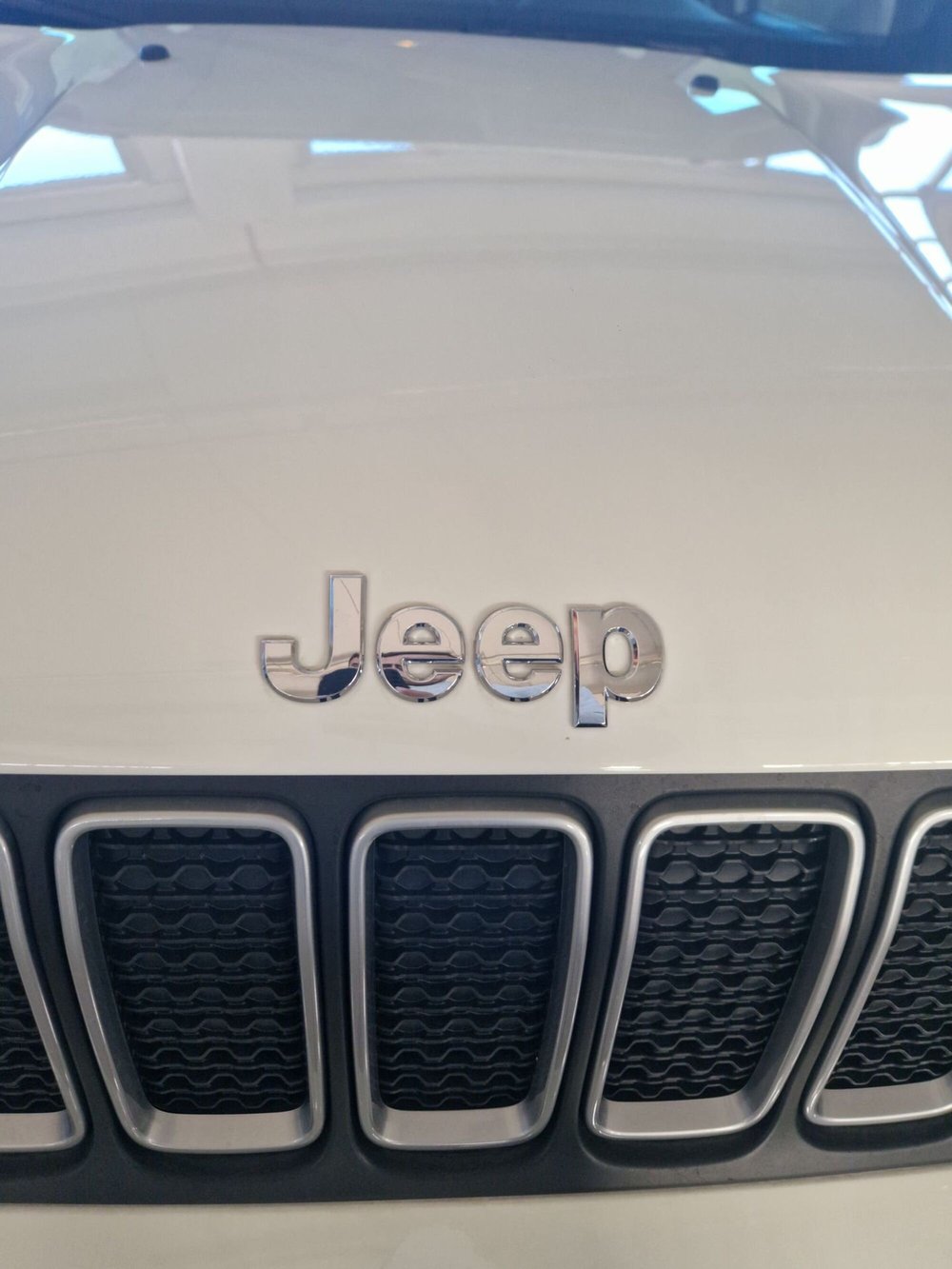 Jeep Renegade usata a Terni (18)