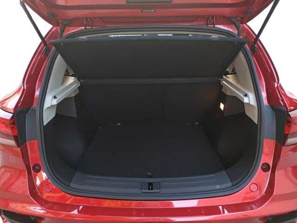 Mg ZS usata a Treviso (6)