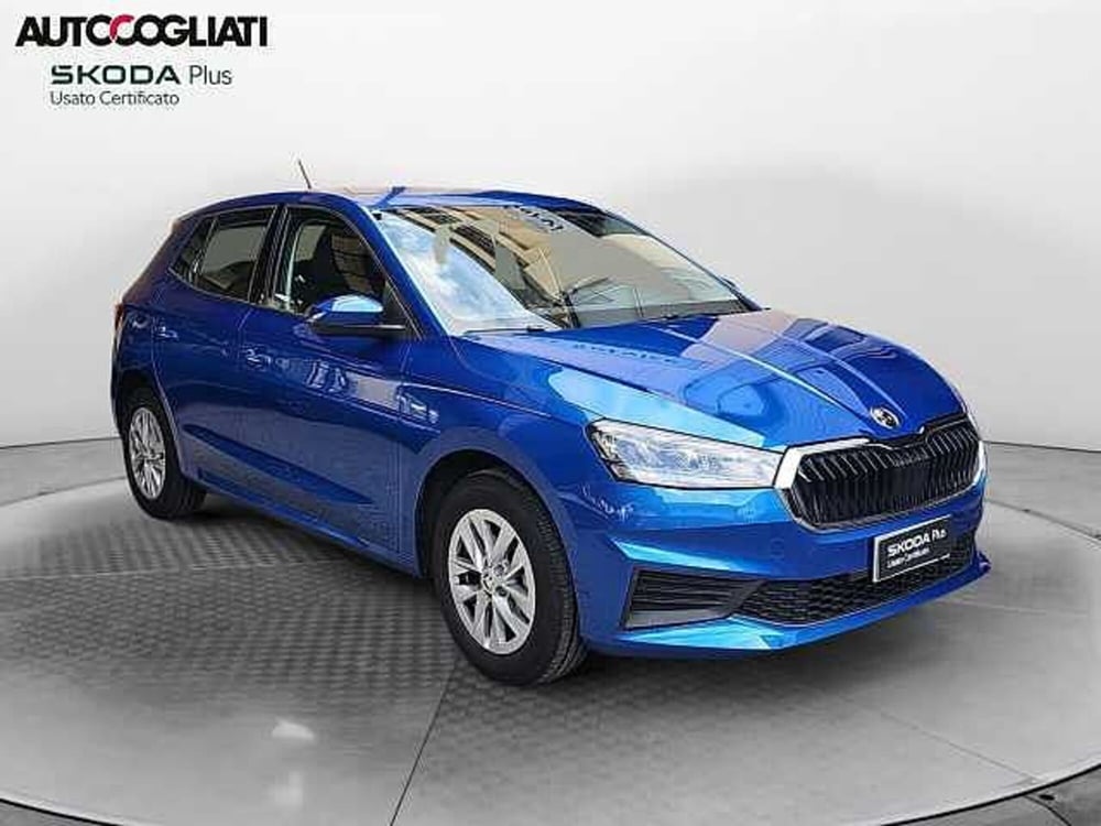 Skoda Fabia usata a Lecco (3)