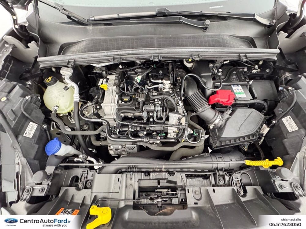 Ford Puma usata a Roma (12)
