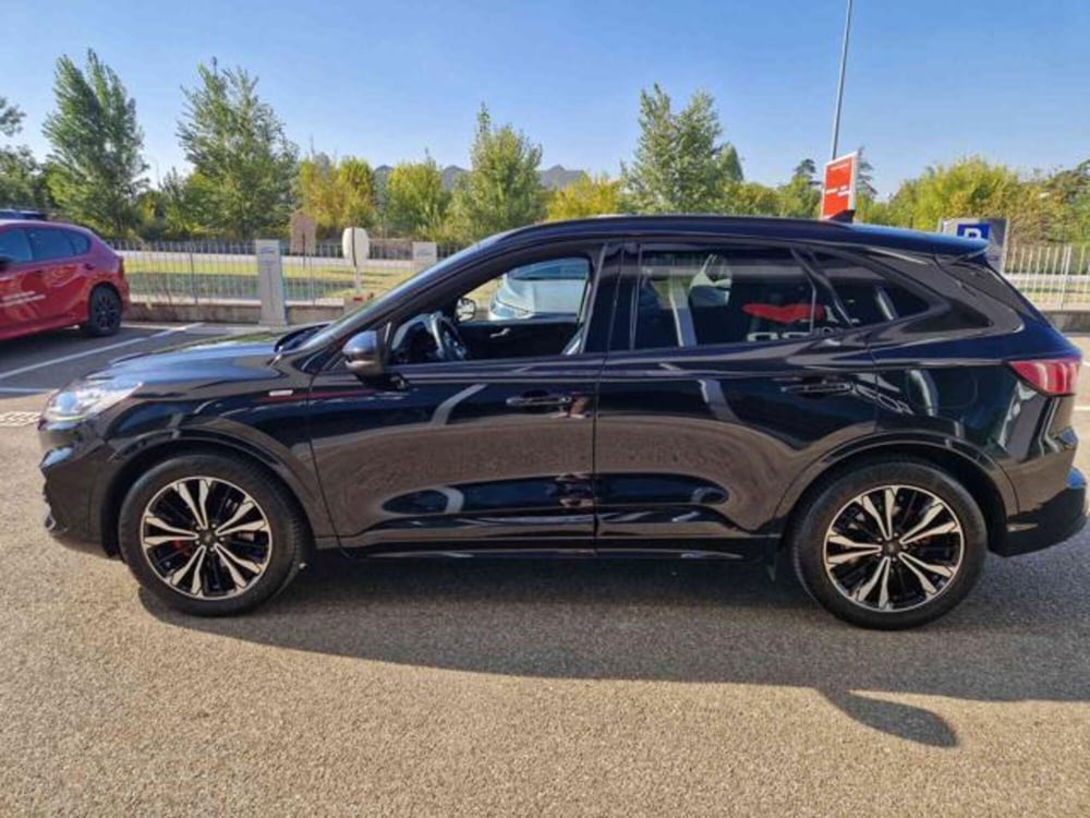 Ford Kuga usata a Bologna (7)