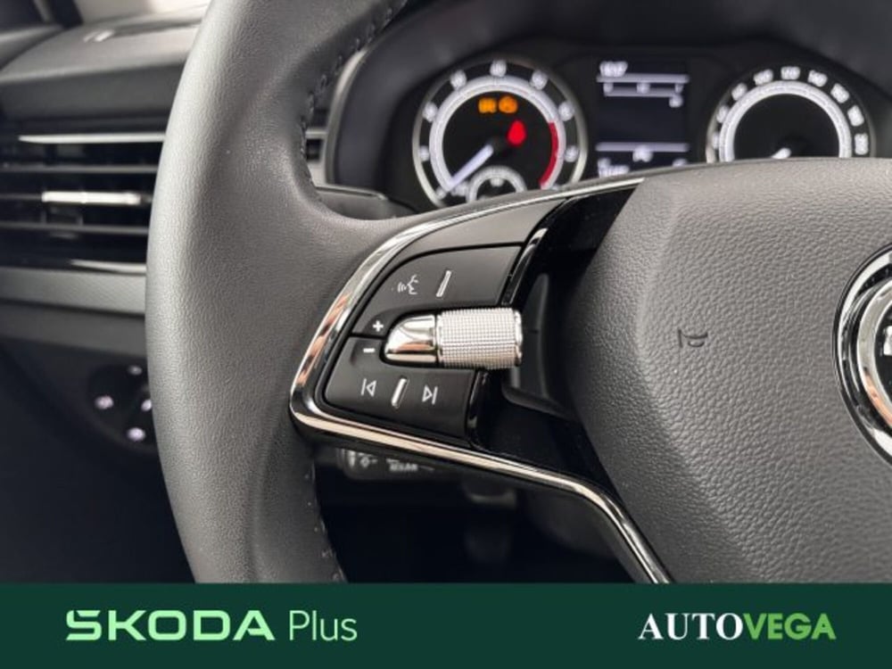 Skoda Kamiq usata a Vicenza (16)