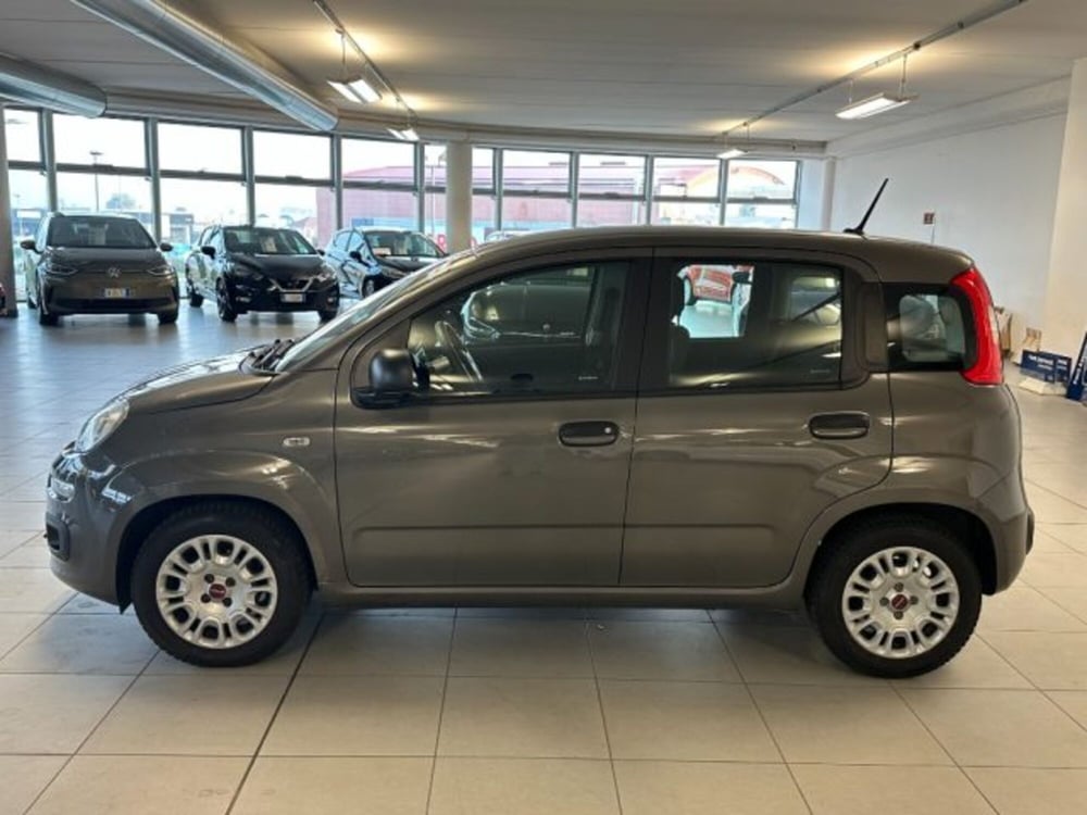 Fiat Panda usata a Cuneo (4)