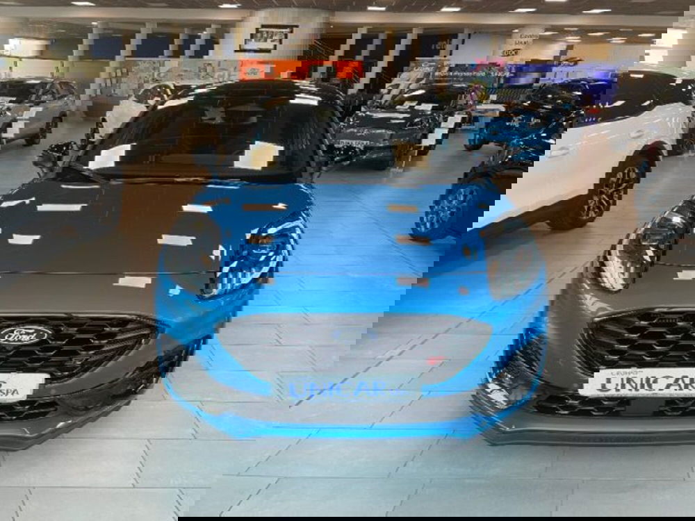 Ford Puma nuova a Cuneo (3)