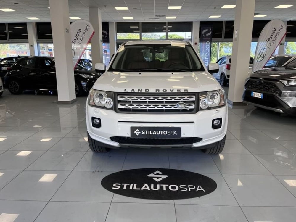 Land Rover Freelander usata a Prato (2)