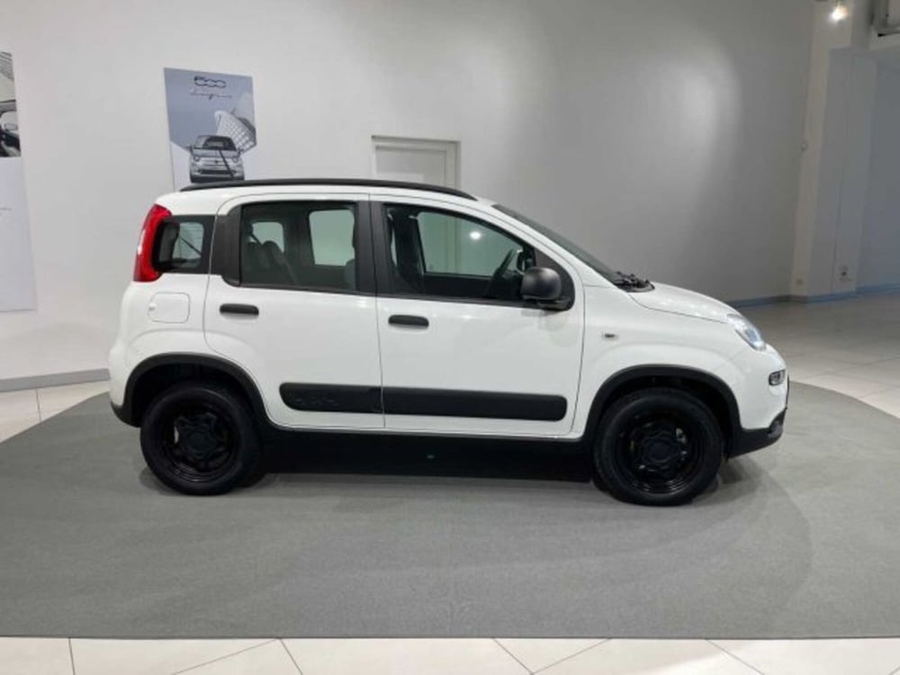 Fiat Panda usata a Sondrio (2)