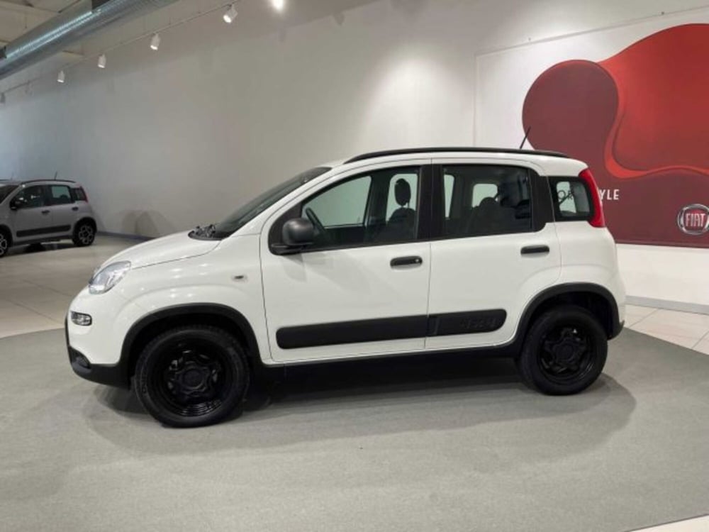 Fiat Panda usata a Sondrio (6)