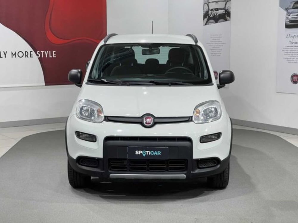 Fiat Panda usata a Sondrio (8)