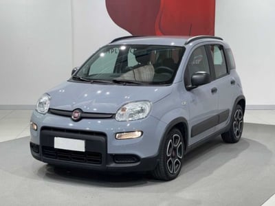 Fiat Panda 1.0 FireFly S&amp;S Hybrid City Cross del 2021 usata a Montagna in Valtellina