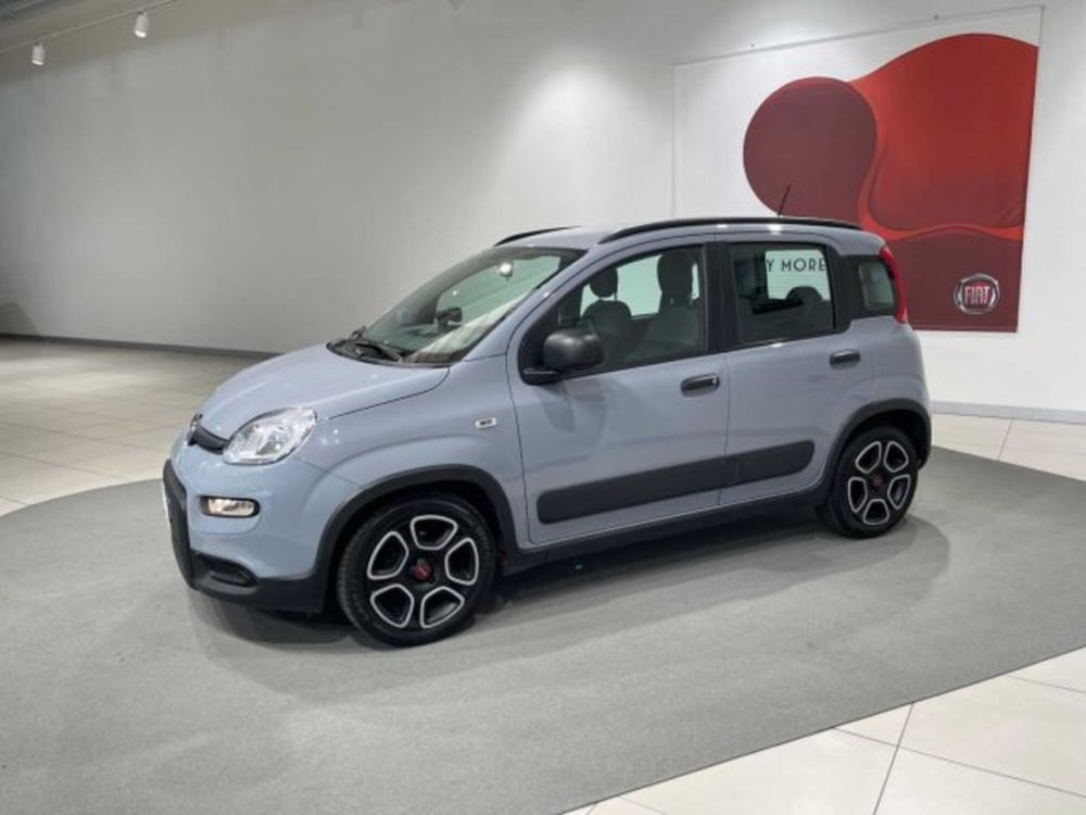 Fiat Panda usata a Sondrio (2)
