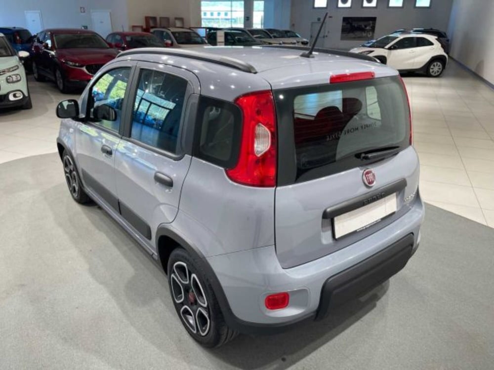 Fiat Panda usata a Sondrio (3)