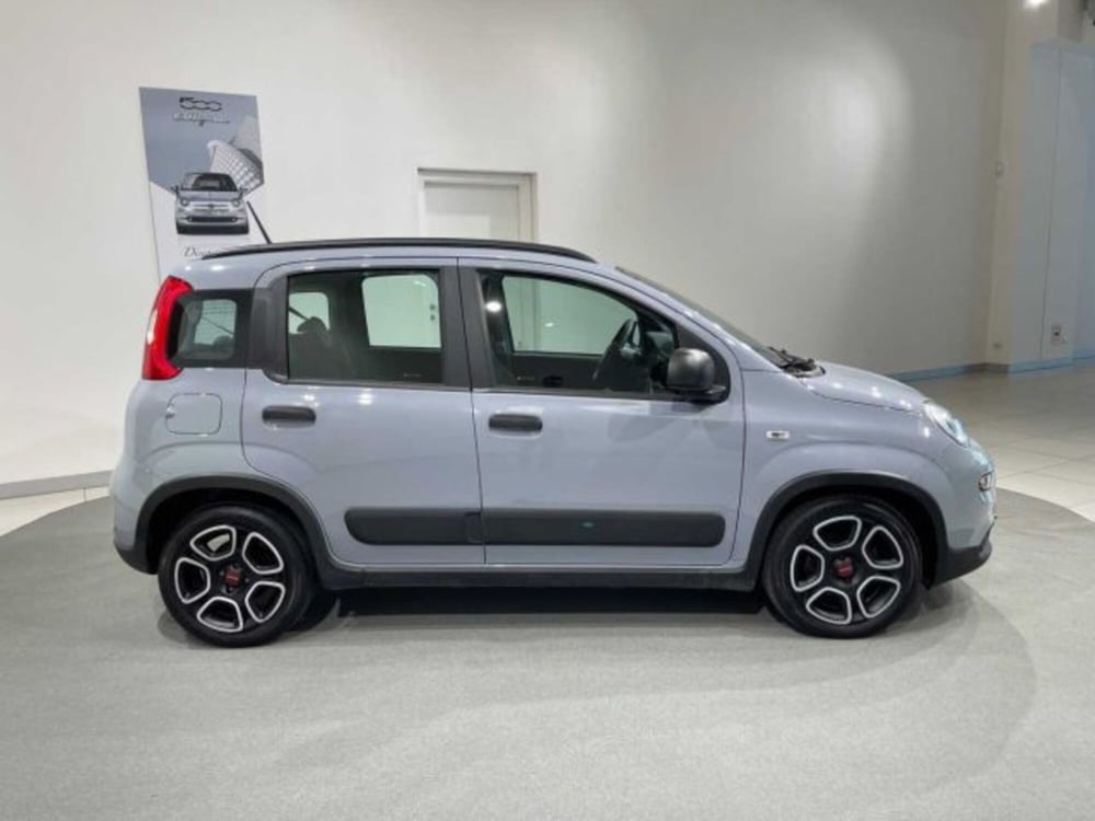 Fiat Panda usata a Sondrio (6)