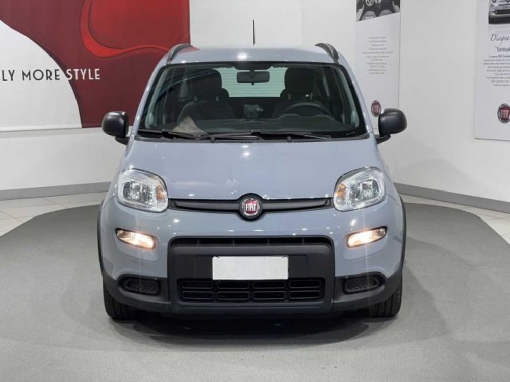 Fiat Panda usata a Sondrio (8)