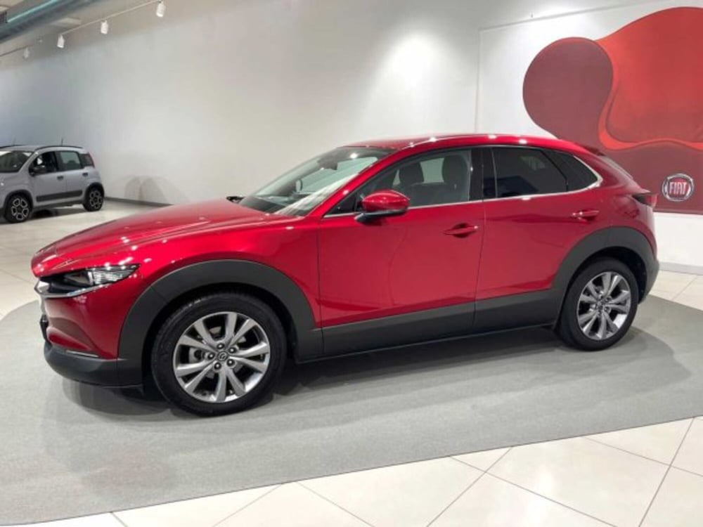Mazda CX-30 usata a Sondrio (2)