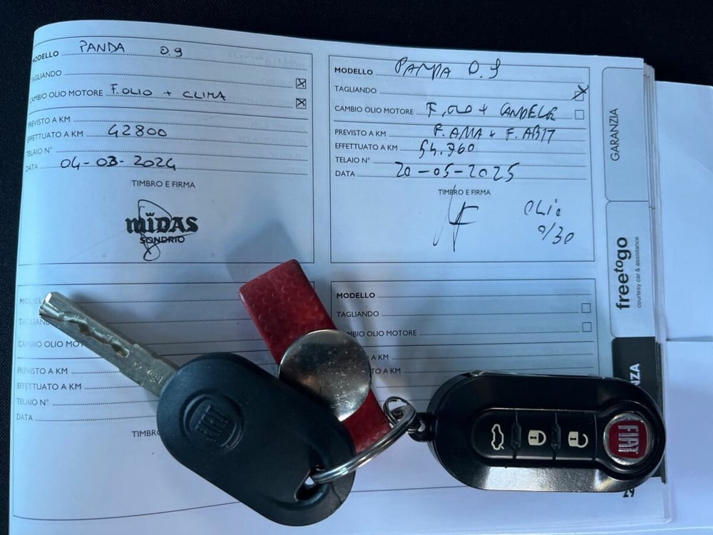 Fiat Panda Cross usata a Sondrio (16)