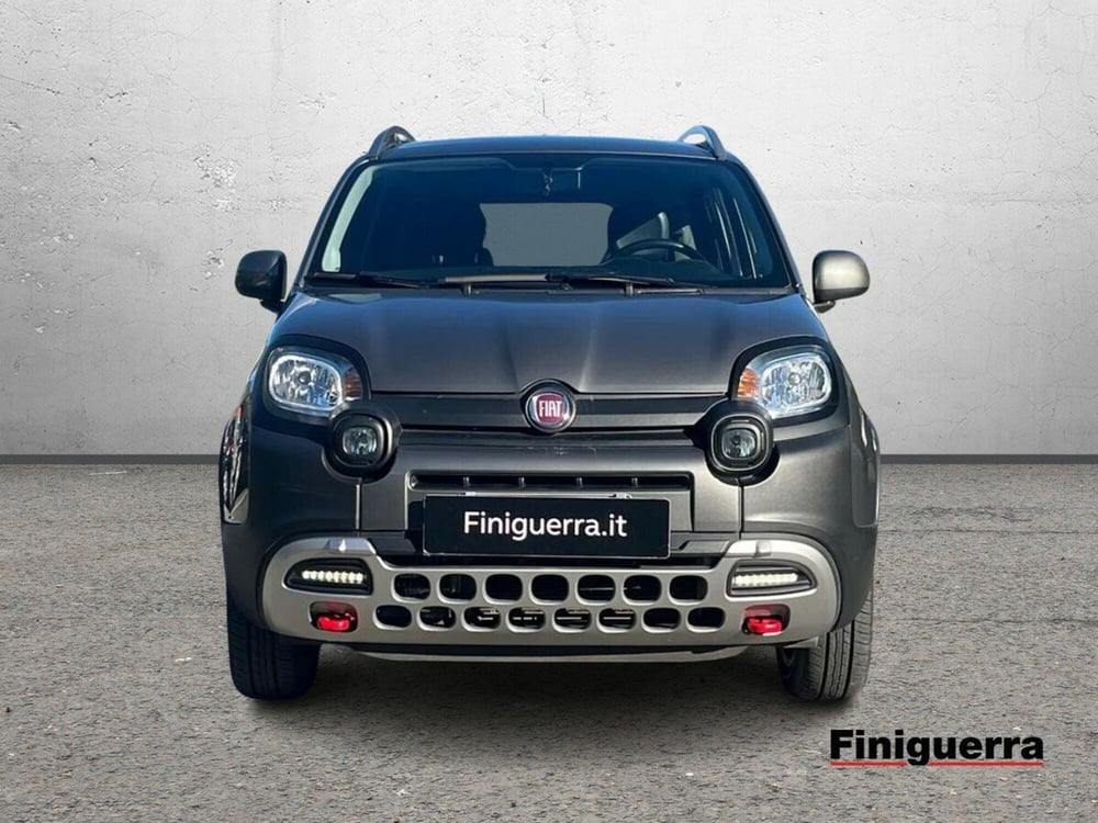 Fiat Panda Cross usata a Sondrio (2)