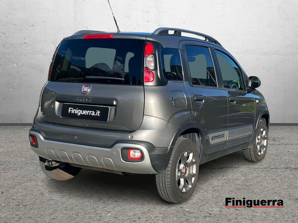 Fiat Panda Cross usata a Sondrio (4)