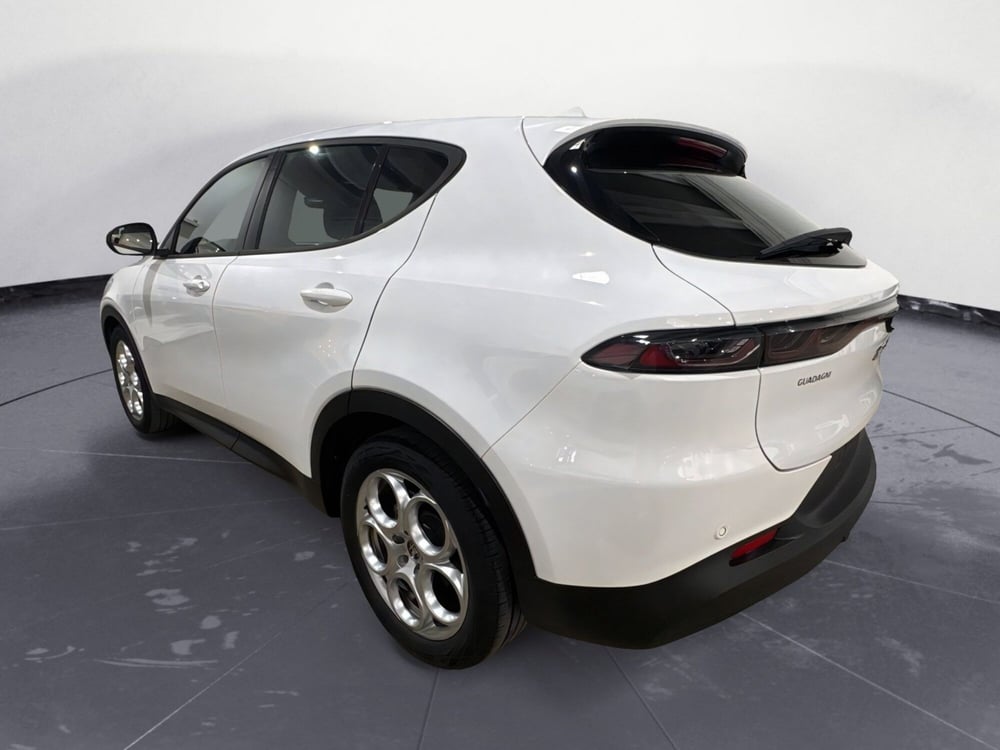 Alfa Romeo Tonale usata a Agrigento (4)