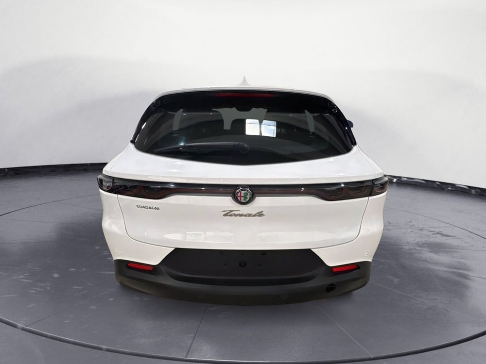 Alfa Romeo Tonale usata a Agrigento (5)