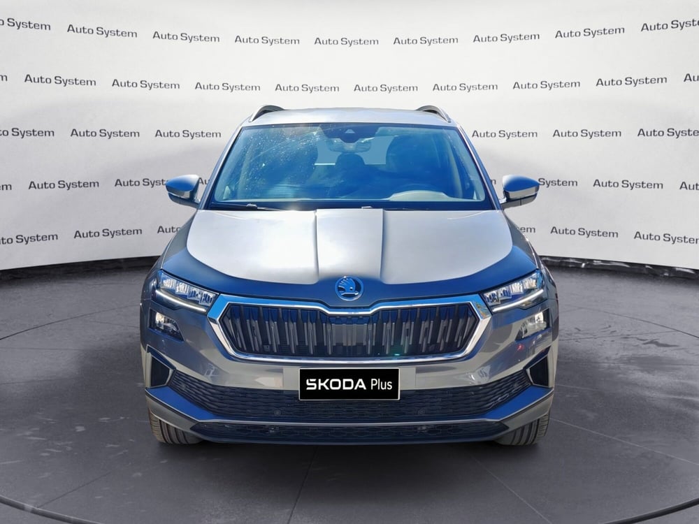 Skoda Karoq usata a Palermo (2)