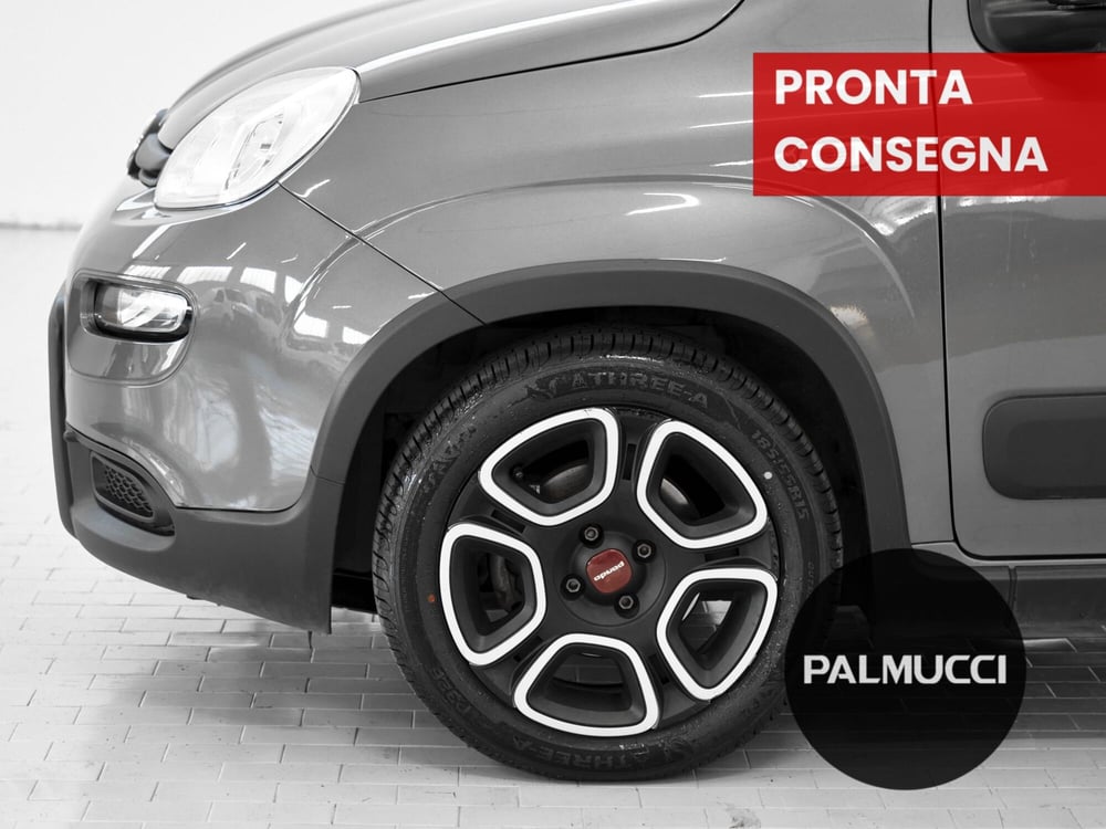 Fiat Panda usata a Prato (6)