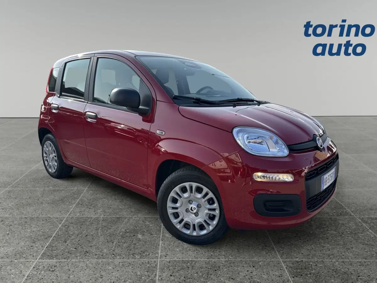 Fiat Panda Cross nuova a Torino