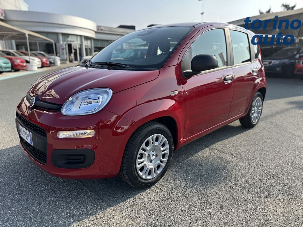Fiat Panda Cross nuova a Torino (3)