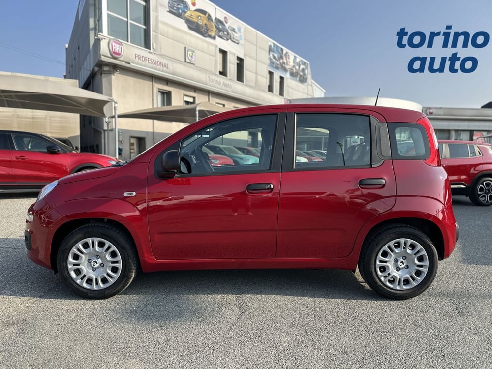 Fiat Panda Cross nuova a Torino (4)
