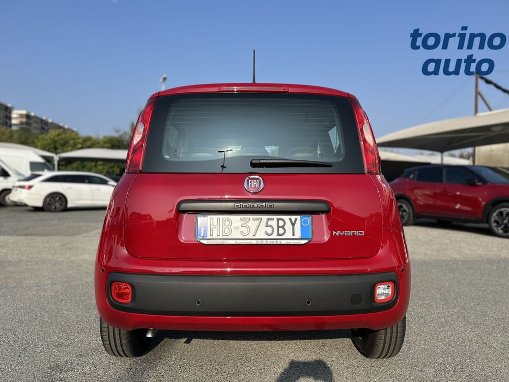 Fiat Panda Cross nuova a Torino (6)