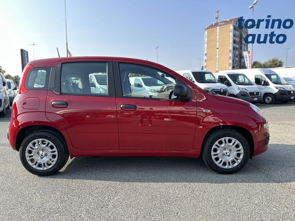 Fiat Panda Cross nuova a Torino (8)