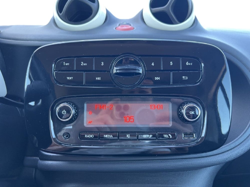 smart forfour usata a Grosseto (12)