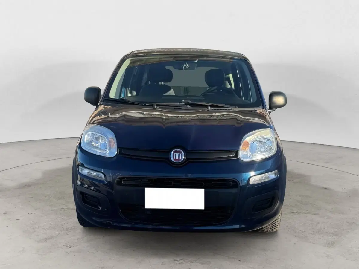 Fiat Panda usata a Caserta