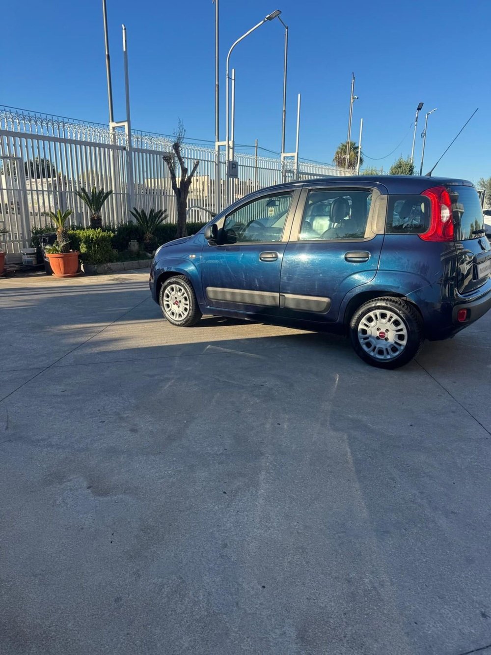 Fiat Panda usata a Caserta (4)