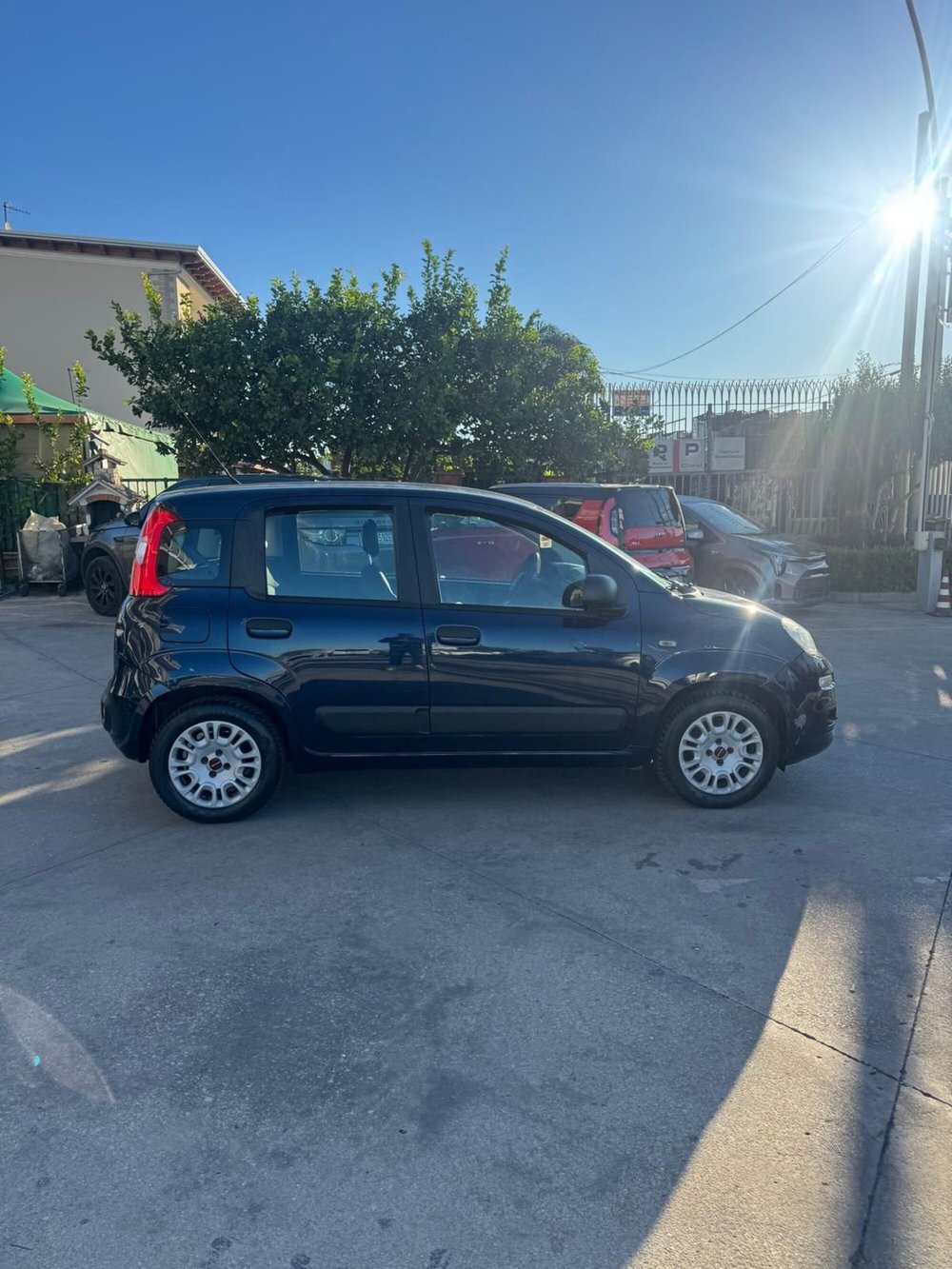 Fiat Panda usata a Caserta (6)