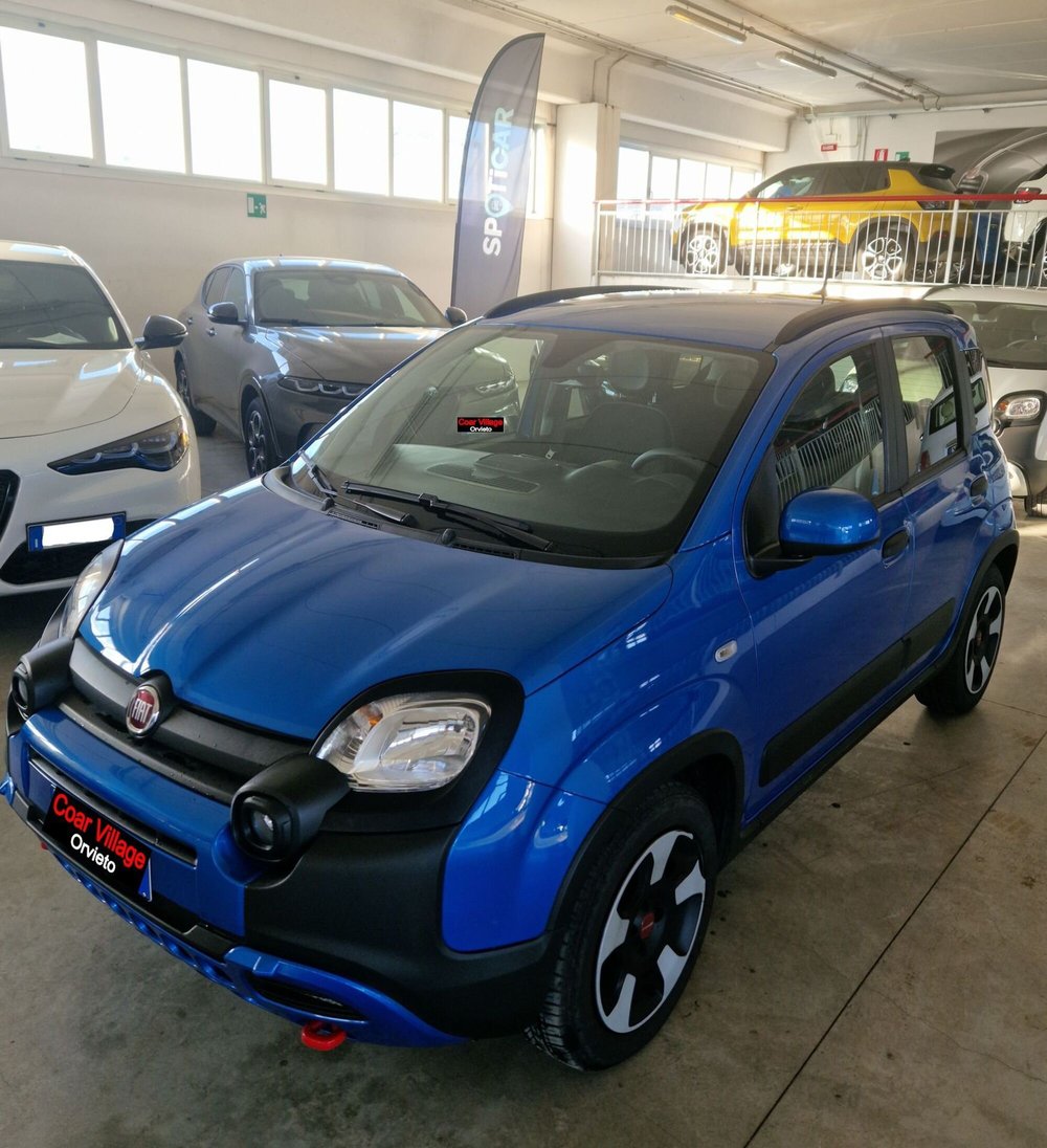 Fiat Panda Cross usata a Terni (2)