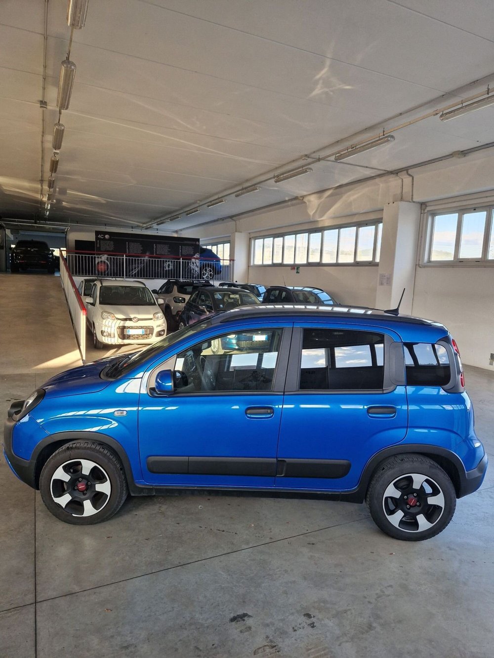 Fiat Panda Cross usata a Terni (3)