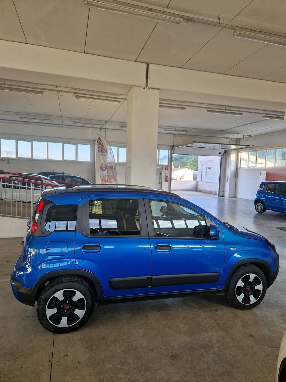 Fiat Panda Cross usata a Terni (6)